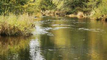 Riverside Caravan Park