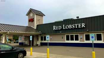 Red Lobster