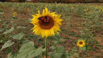 University of Maryland Extension, Baltimore County