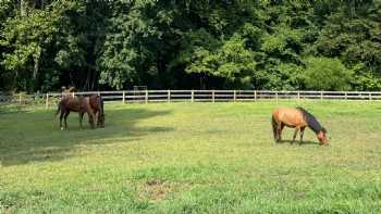 Anchorage Farm