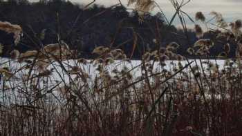 Elms Environmental Education Center