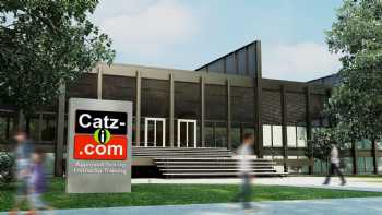 Catz-i.com East Lothian Driving School