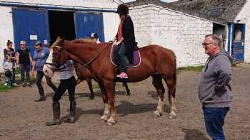 Balcurvie Riding School