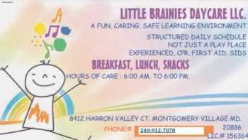 Little Brainies Daycare LLC