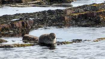 Sinclair bay lodges