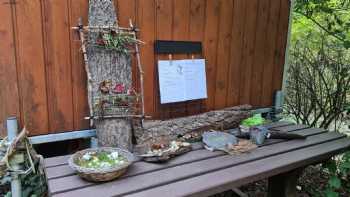 Waldkindergarten am Kohlbach