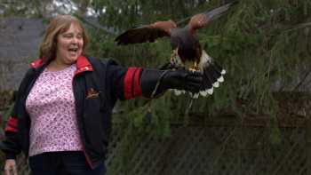 New Hampshire School of Falconry