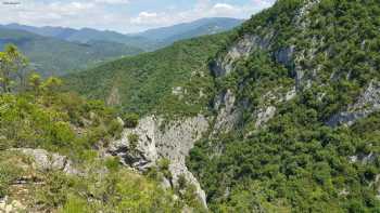 Yenice Kent Ormanı