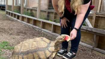 Wildlife Encounters Ecology & Wellness Center