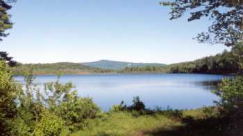 School Pond