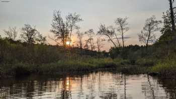 School Pond