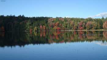 School Pond