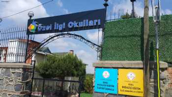 Özel ilgi Okulları