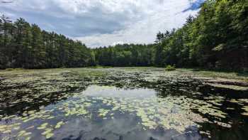 Greenfield State Park