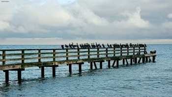 Vermittlungsbüro Wandelt- Strandurlaub Dahme