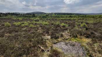 Red Moss Nature Reserve