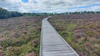 Red Moss Nature Reserve