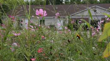 Monarch School of New England