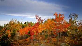 UNH Extension - Rockingham County