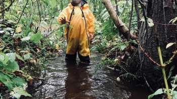 Chesterbrook School of Natural Learning