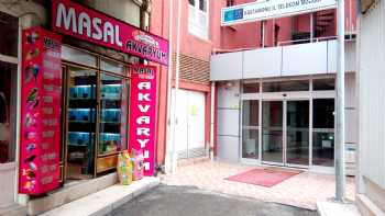 Masal Petshop ve Akvaryum