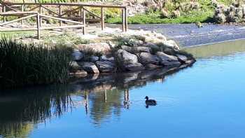 Nacimiento del Canal de Castilla