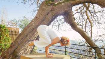 Personal Yoga Mosbach - Thera van Beurden