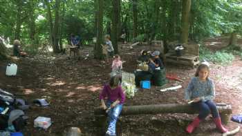 Into The Green Forest School