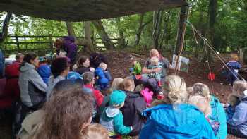 Into The Green Forest School