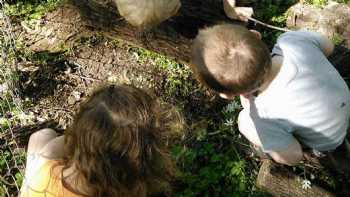 The Tree House Of Early Learning, Daycare & Preschool