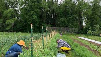 KC Farm School at Gibbs Road