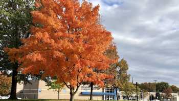 Pleasant Ridge Elementary School