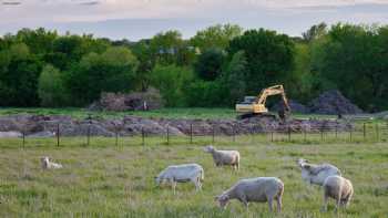 Kansas State University Sheep & Meat Goat Center