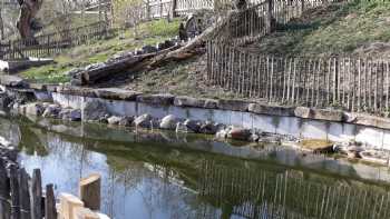 Naturzentrum-Rheinauen Rust