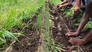 KC Farm School at Gibbs Road