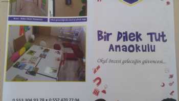 Bir Dilek Tut Anaokulu