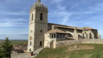 Támara de Campos