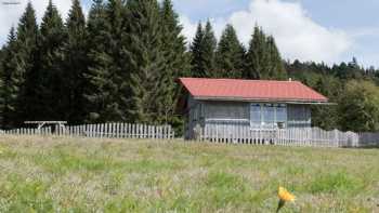 Naturkindergarten Lichtpünktchen e.V.