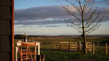 Sycamore Glamping Pods