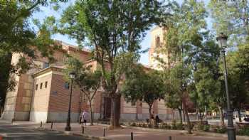 Colegio La Milagrosa - Secundaria Y F.P.B.