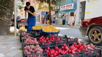 Darıca kapalı semt pazarı