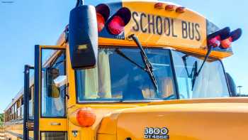 American School Bus Glamping