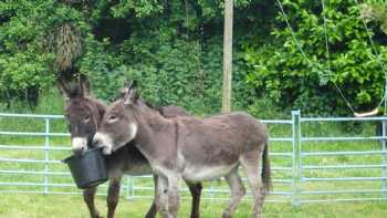 Manor Farm Caravan Park