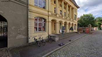 Universität Rostock MNF/IfBI/Allgemeine und Spezielle Zoologie