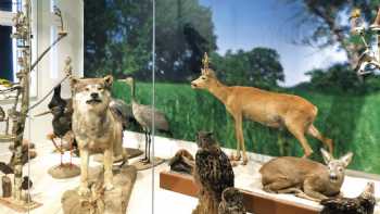 Natur-Museum Goldberg / Touristinformation