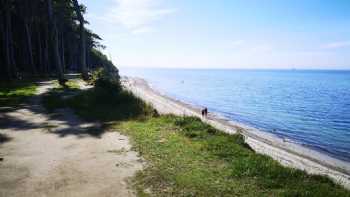 Strand Nienhagen