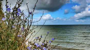 Strand Nienhagen