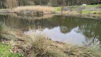 Redbrick Woodland Lodges