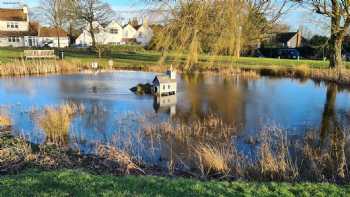 Wych Elm Bed and Breakfast