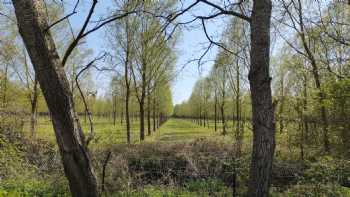 Coleman's Cottage Fishery